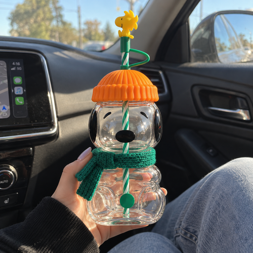 Snoopy Bucks Cup 20oz